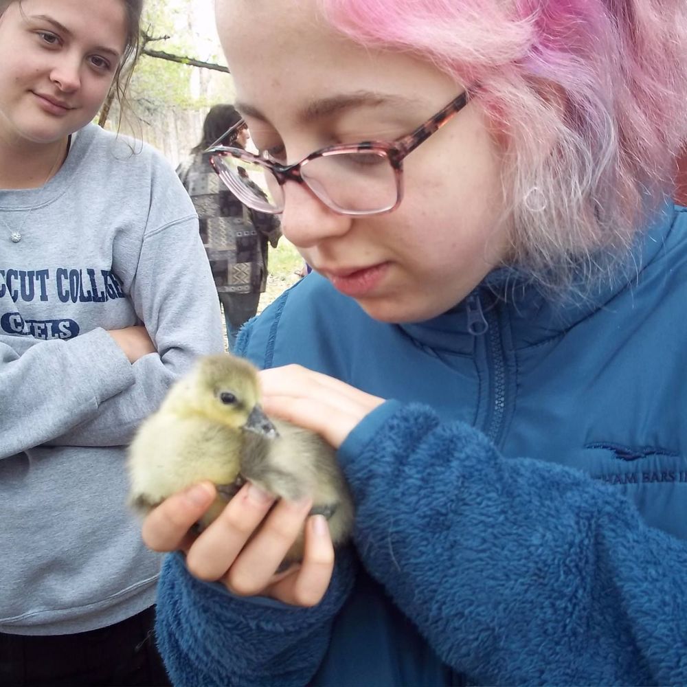 Meet your Posher, Eloise